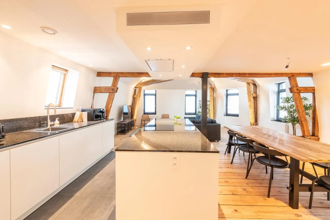 Spacious Modern Appartments In The Heart Of Brussels