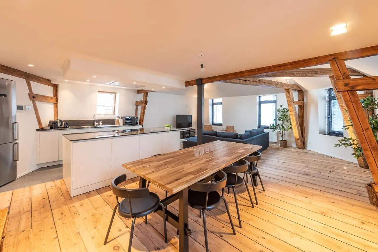 Apartment Spacious Modern Appartments In The Heart Of Brussels Belgium